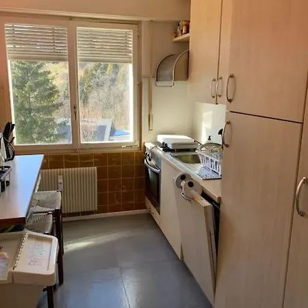 Grand 4,5 Pieces Renove Et Lumineux Apartment