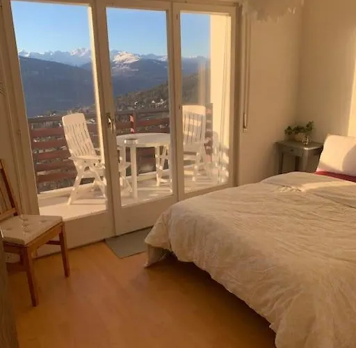 Grand 4,5 Pieces Renove Et Lumineux