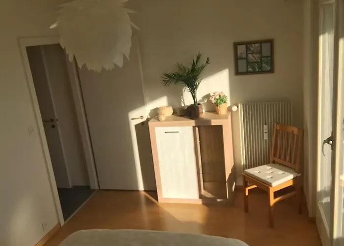 Grand 4,5 Pieces Renove Et Lumineux Apartment *