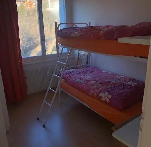 Grand 4,5 Pieces Renove Et Lumineux Crans-Montana