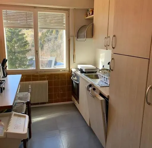 Grand 4,5 Pieces Renove Et Lumineux Apartment