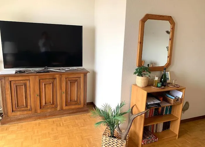 Apartment Grand 4,5 Pieces Renove Et Lumineux Crans-Montana