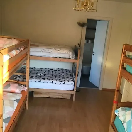 Grand 4,5 Pieces Renove Et Lumineux * 克莱恩 蒙塔纳